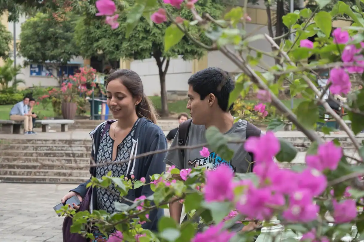 Studenți care se plimbă prin campus printre tufe cu flori roz după admitere